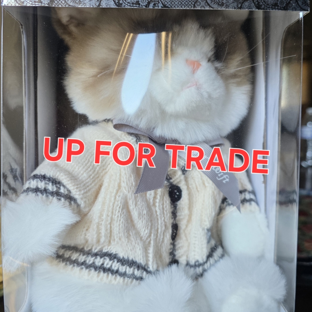 Taylor Swift Folklore Cat